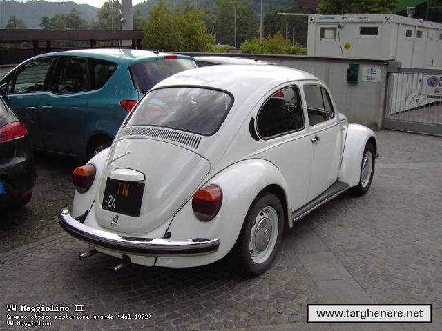 maggiolinoprincemax20150916.jpg