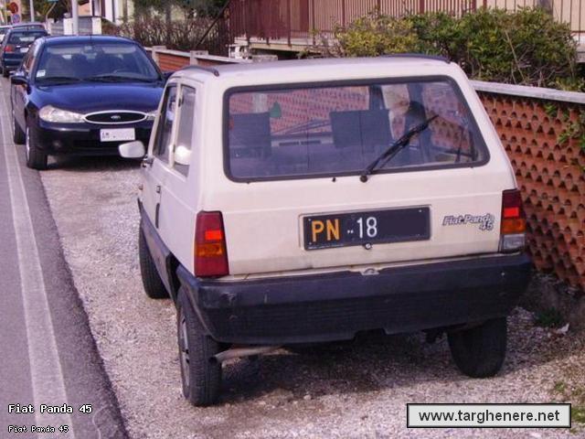 panda45luca.jpg