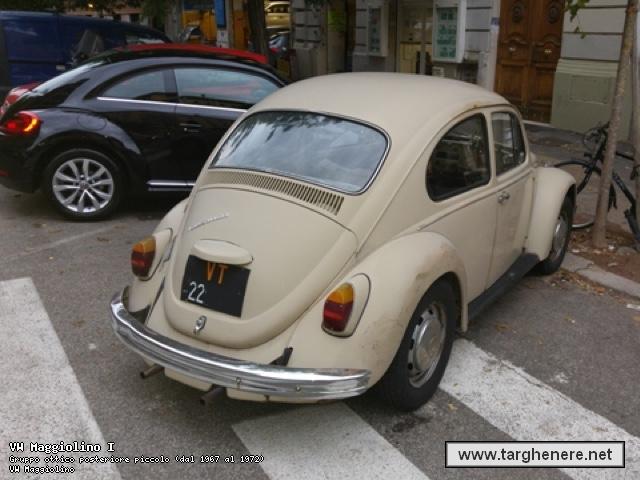maggiolinobue20151115.jpg