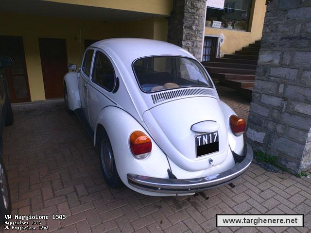 maggiolinodanip20151216.jpg