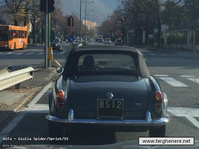 giuliaspidercasamini20160119.jpg