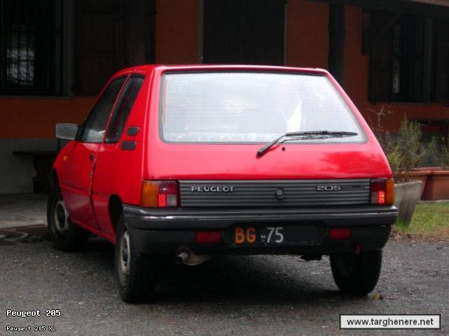 205xldaniele.jpg