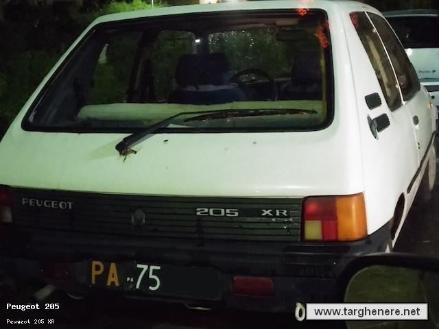 peugeot205filocascino20160211.jpg