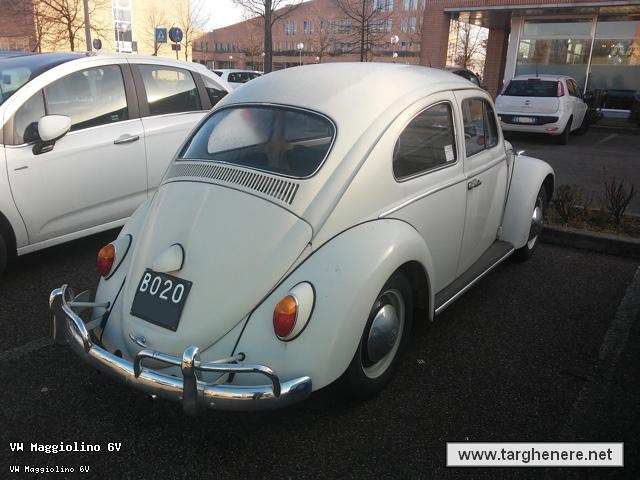 maggiolinooinotna20160214.jpg