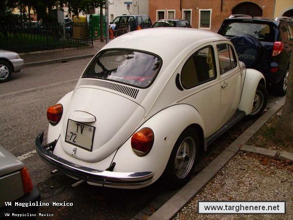 maggiotvritluca.jpg