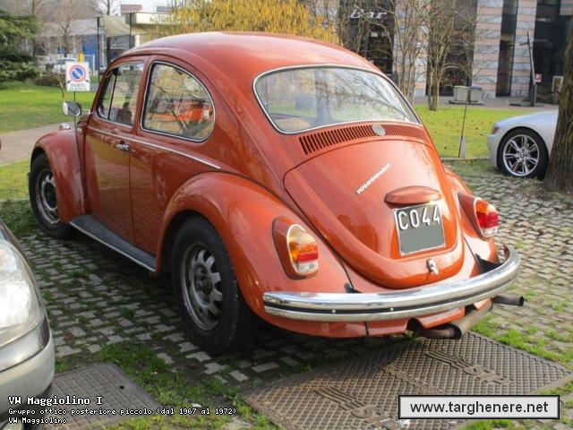 maggiolinoata20160323.jpg