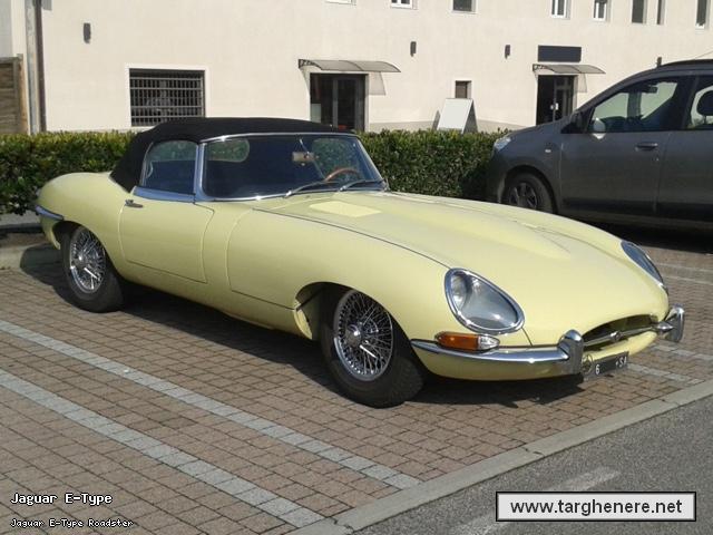 jaguaretypespider20160403.jpg