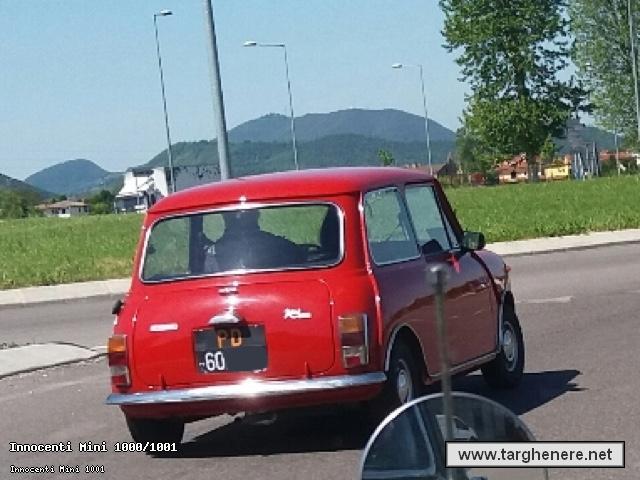 minipigi5420160521.jpg