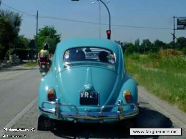 maggiolinosampei20160629.jpg