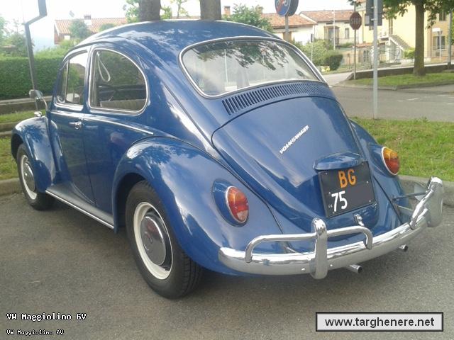 maggiolinotanteuno20160702.jpg