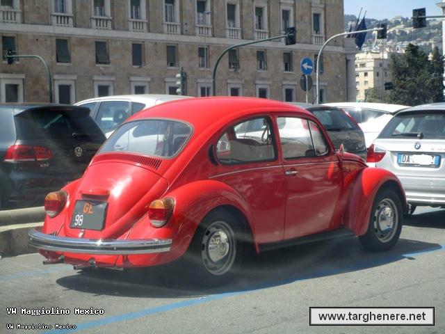 maggiolinoata20160715.jpg