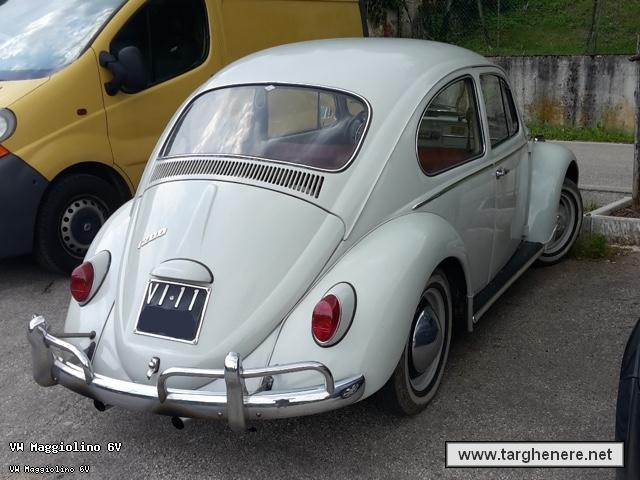 maggiolinoprincemax20160716.jpg