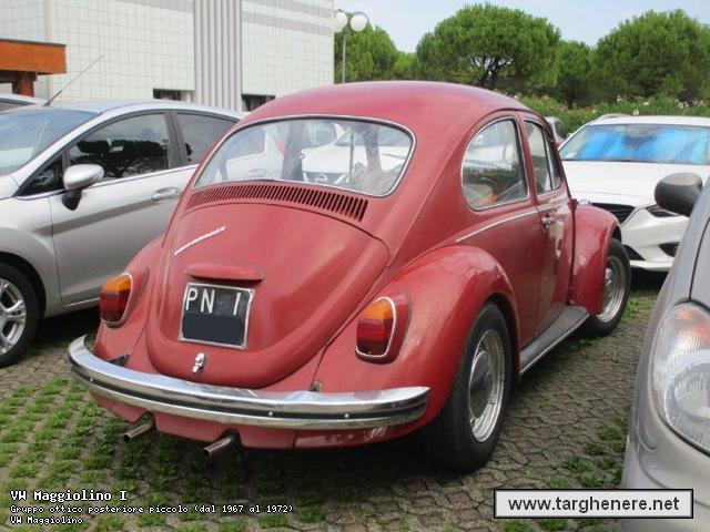 maggiolinoata20160728.jpg