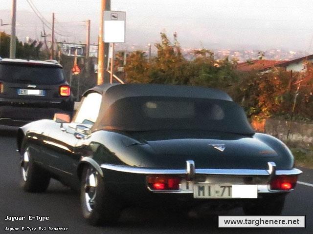jaguaretypespiderenea20160807.jpg