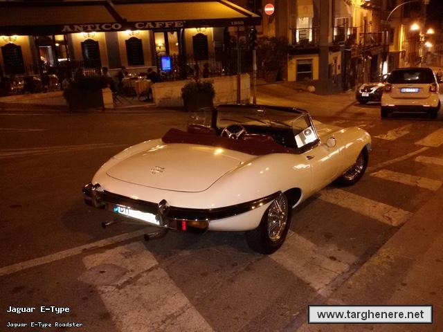 jaguaretypespiderruler20160814.jpg