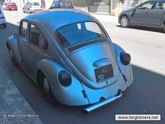 maggiolinoalfa3320160816.jpg