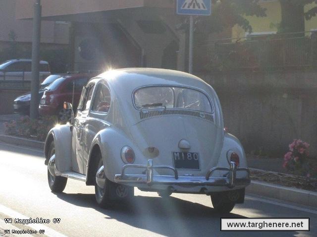 maggiolinoata20160908.jpg