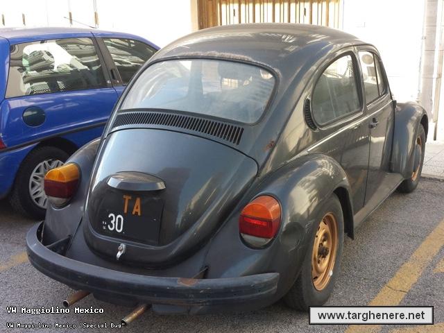 maggiolinodariomontrone20160928.jpg