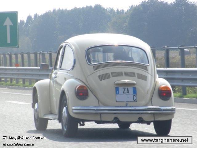 maggiolinoata20161005.jpg