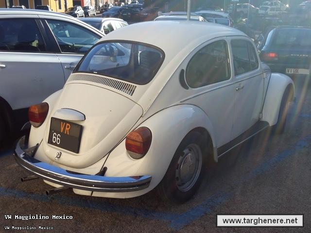 maggiolinoprincemax20161210.jpg