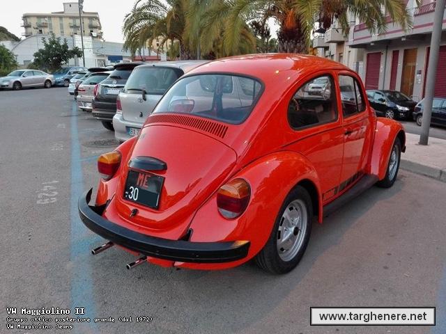 maggiolinosuper20720170125.jpg