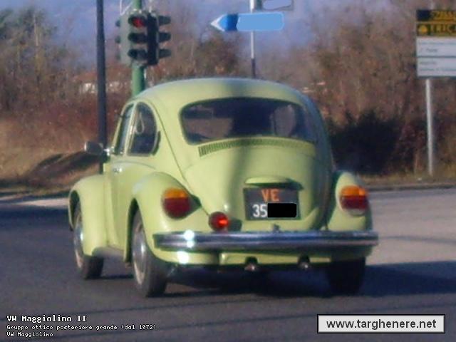 maggiolinodeltago20170308.jpg