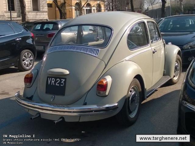maggiolinoprincemax20170506.jpg