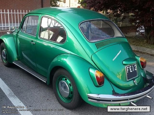 maggiolinofrabo18720170610.jpg