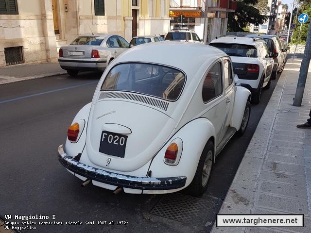 maggiolinodariomontrone20170624.jpg