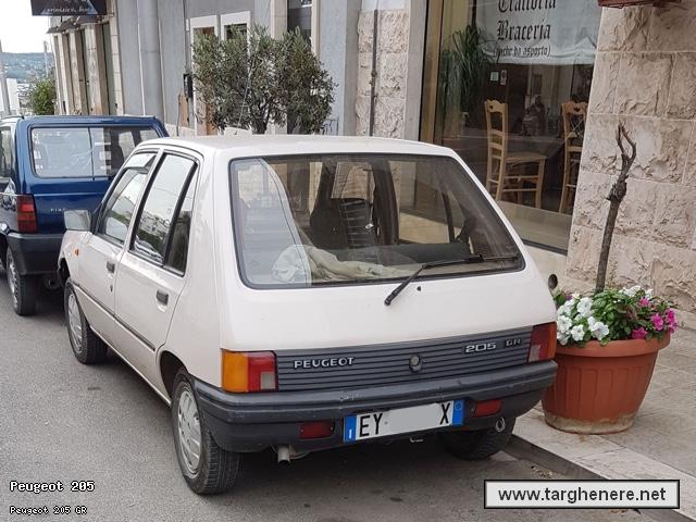 peugeot205dariomontrone20170721.jpg