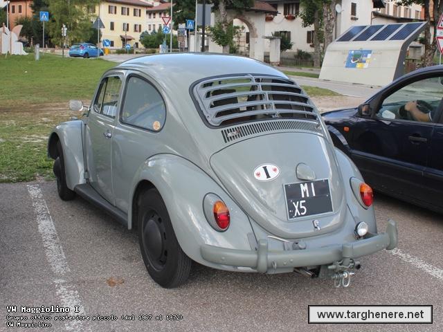 maggiolinoprincemax20170824.jpg