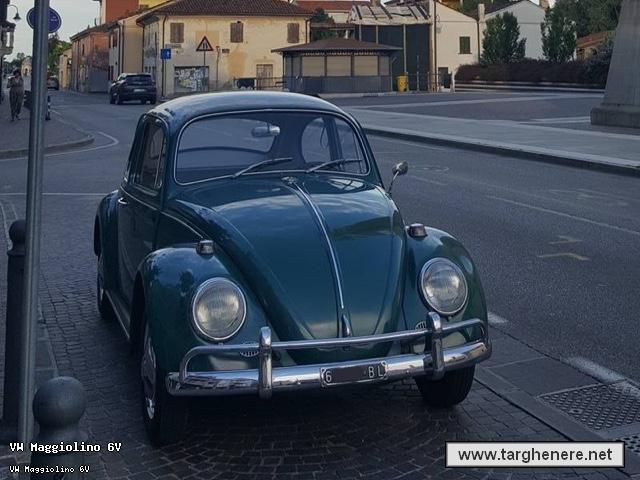 maggiolinosampei20171002.jpg