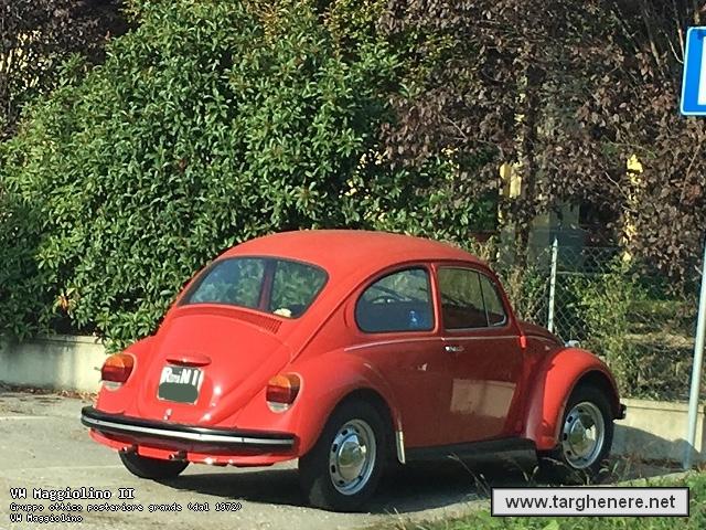 maggiolinofrabo18720171212.jpg