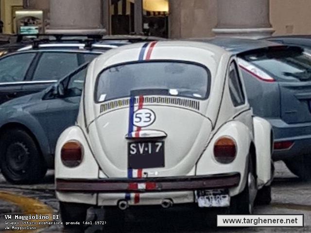 maggiolinodariomontrone20180114.jpg