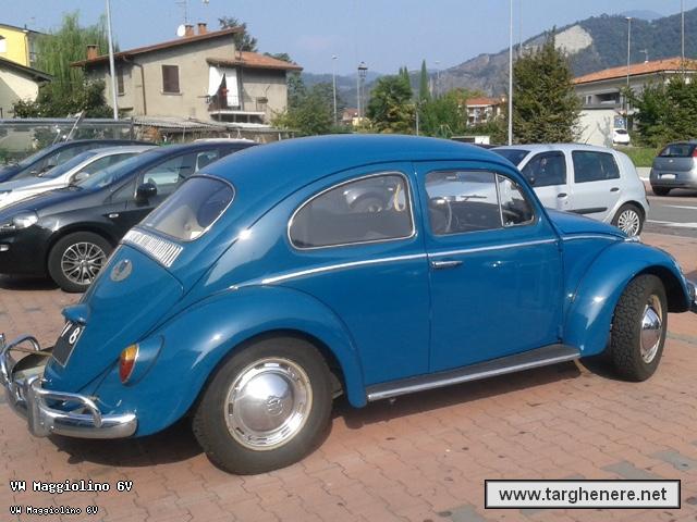 maggiolinotanteuno20180125.jpg