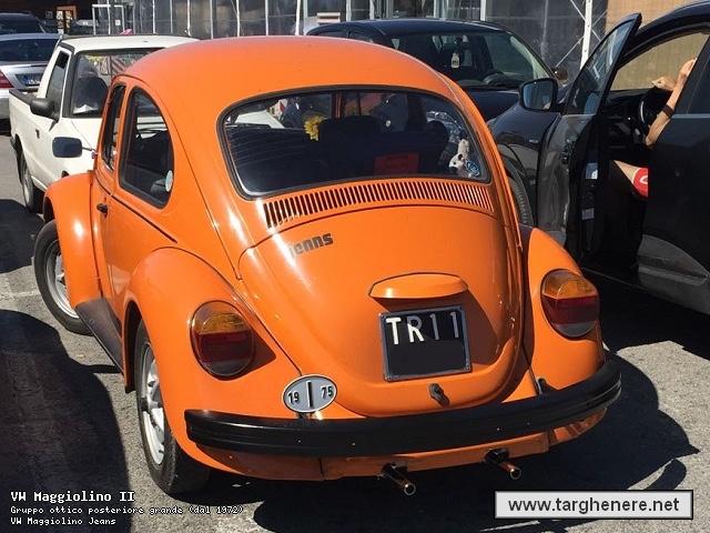 maggiolinothemarcello20180214.jpg