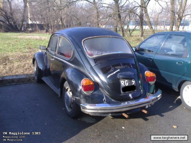 beetle10.jpg