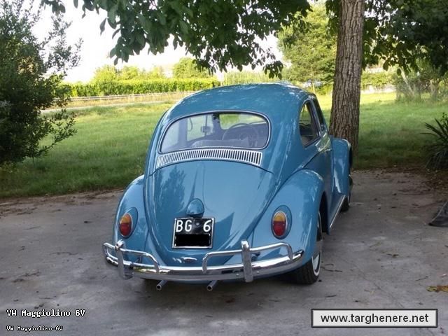 maggiolinoalpiman20180508.jpg