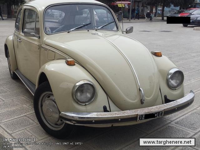 maggiolinoalpiman20180628.jpg
