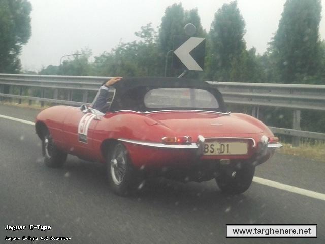jaguaretypemikewolmots20180630.jpg