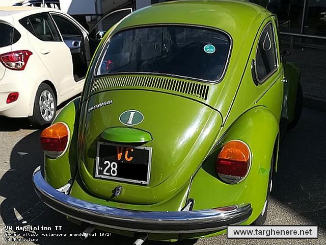 maggiolinoneeskens7820180711.jpg