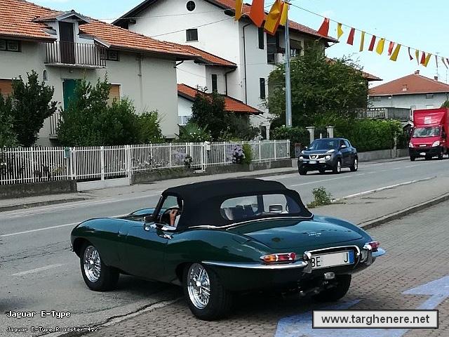 jaguaretypespiderneesken7820180729.jpg