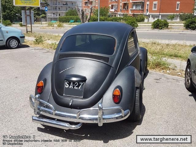 maggiolinodariomontrone20180801.jpg