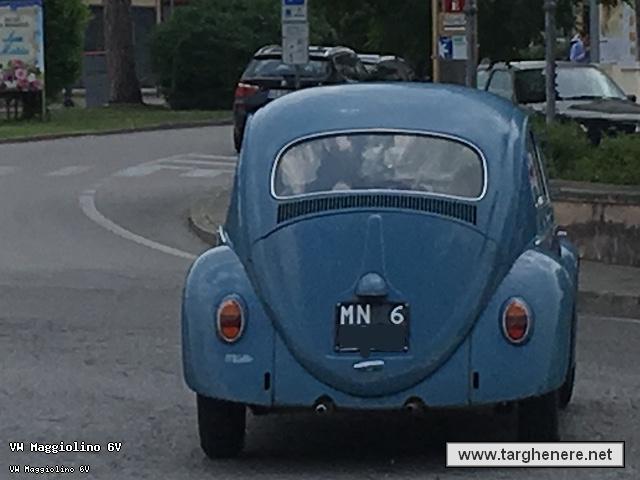 maggiolinofrabo18720180810.jpg