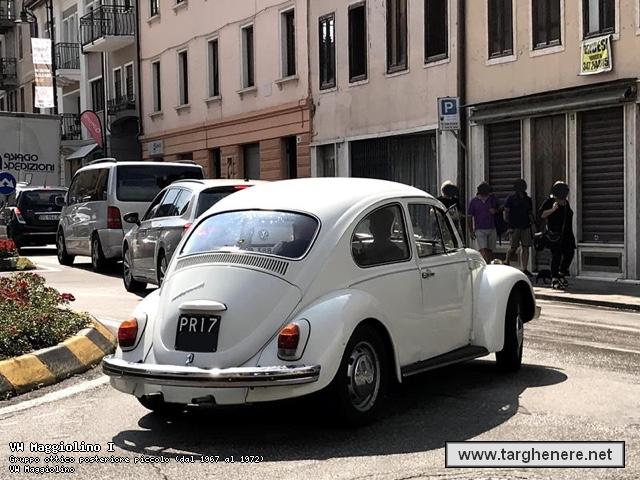 maggiolinoprincemax20180824.jpg
