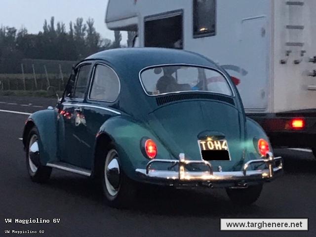 maggiolinonathan20181106.jpg