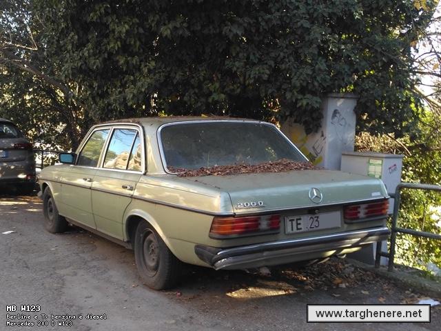 mercedesw123polar20190112.jpg