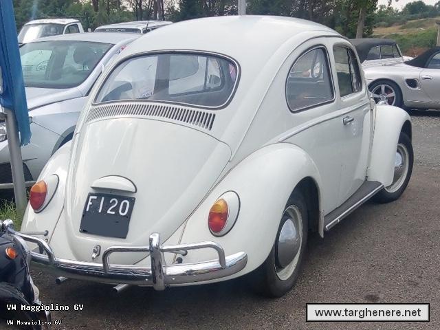 maggiolinoalpiman20190129.jpg