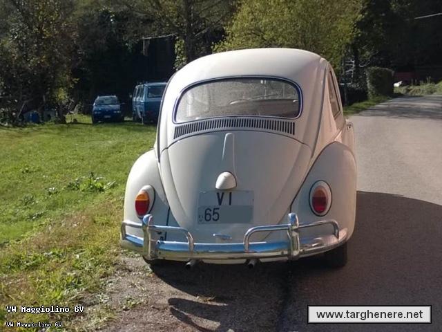 maggiolinoprincemax20190214.jpg