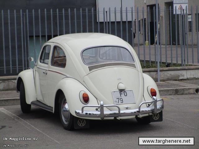 maggiolinoa_ta20190318.jpg